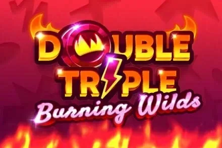 Double Triple Burning Wilds - 678BET