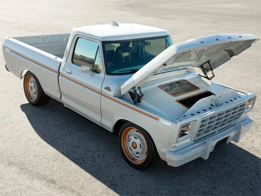Ford F-100 Eluminator Slide - 678BET